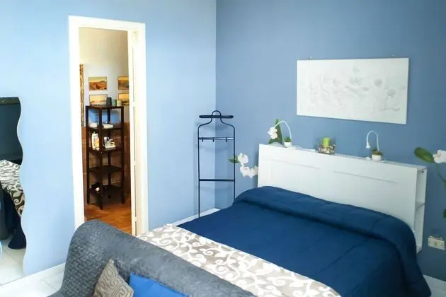 Superior Tek Büyük Yataklı Oda, Balkon, Şehir Manzaralı