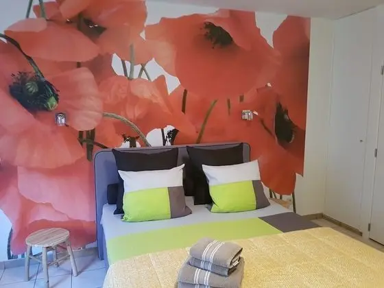 Standard Oda, 1 En Büyük (King) Boy Yatak, Engellilere Uygun, Avlu