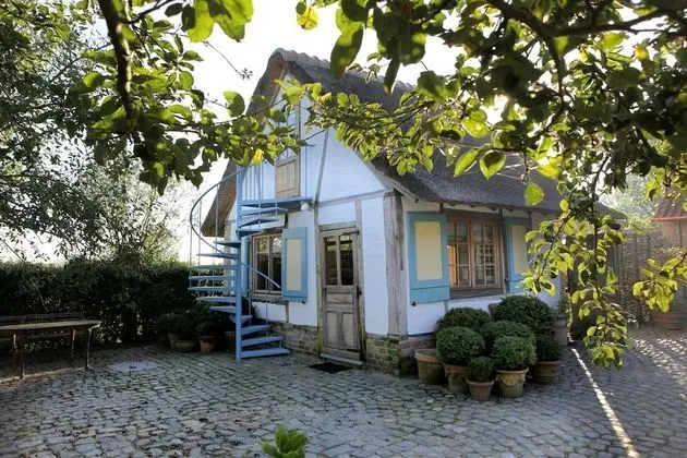 Basic Kulübe