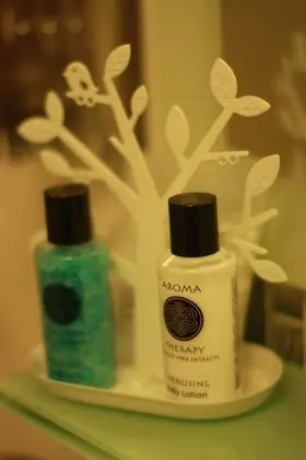 Deluxe Tek Kişilik Oda, 1 Tek Kişilik Yatak