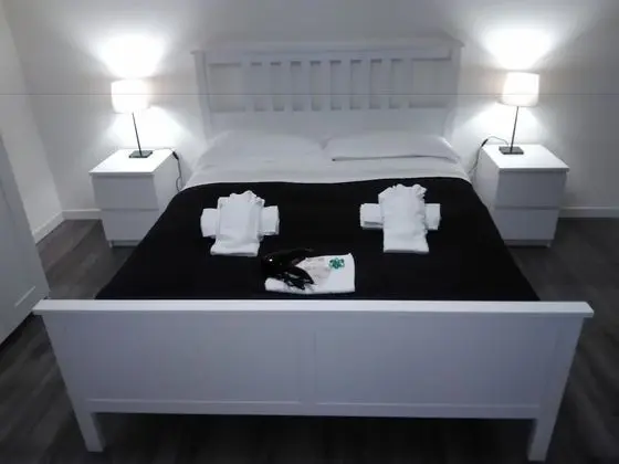 Tek Büyük Yataklı Oda, 1 En Büyük (King) Boy Yatak, Sigara İçilmez, Banyolu/Duşlu