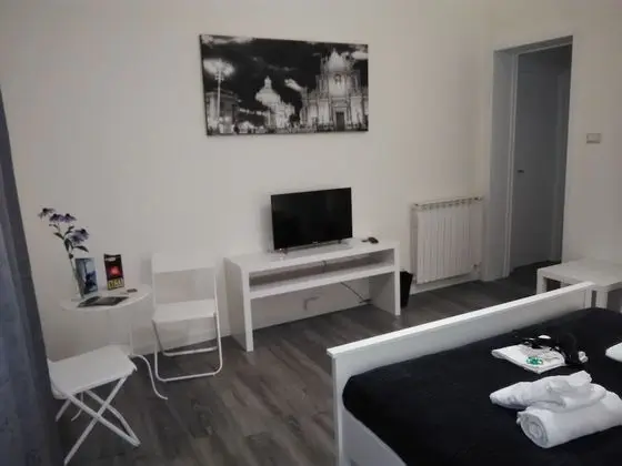 Tek Büyük Yataklı Oda, 1 En Büyük (King) Boy Yatak, Sigara İçilmez, Banyolu/Duşlu