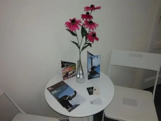 Tek Büyük Yataklı Oda, 1 En Büyük (King) Boy Yatak, Sigara İçilmez, Banyolu/Duşlu