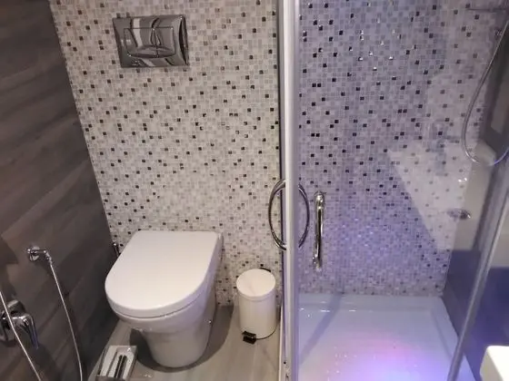 Tek Büyük Yataklı Oda, 1 En Büyük (King) Boy Yatak, Sigara İçilmez, Banyolu/Duşlu