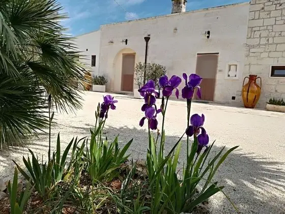 Family Üç Kişilik Oda, Şehir Manzaralı (Iris)