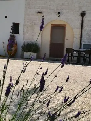 Tek Büyük Yataklı Oda, Şehir Manzaralı (Lavanda )