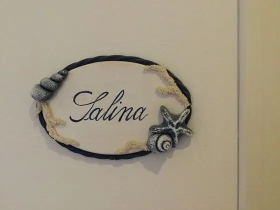 Tek Büyük Yataklı Oda, Balkon, Dağ Manzaralı (Salina)