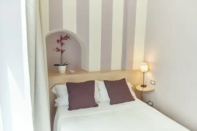 Basic Tek Büyük Yataklı Oda, 1 Çift Kişilik Yatak (Small Room with External bathroom)
