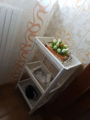 Dört Kişilik Oda