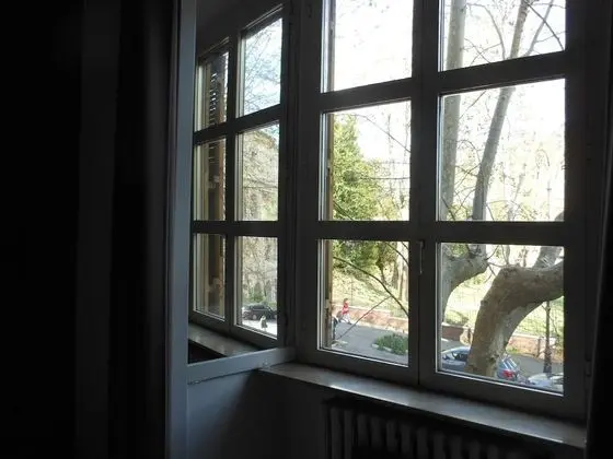 Basic Büyük Yataklı Tek Kişilik Oda, Park Manzaralı