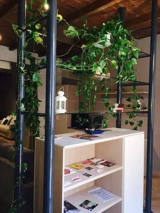 Comfort Apart Daire, 1 Yatak Odası