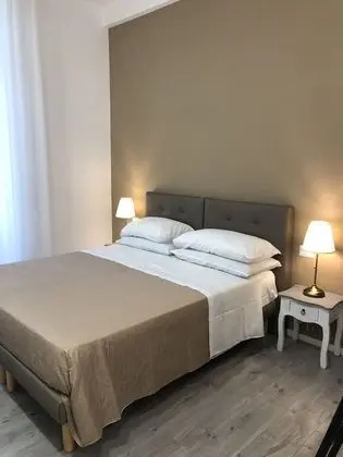 Standard Tek Büyük Yataklı Oda (Fresia)