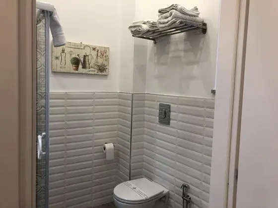 Standard Tek Büyük Yataklı Oda (Fresia)