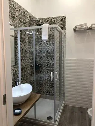 Standard Tek Büyük Yataklı Oda (Fresia)