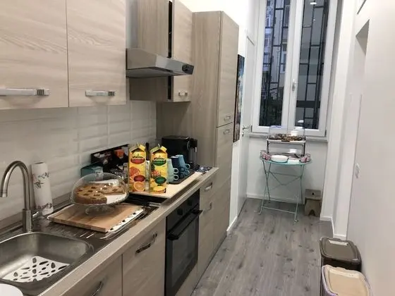 Standard Tek Büyük Yataklı Oda (Fresia)