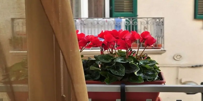 Family Dört Kişilik Oda, Banyolu/Duşlu