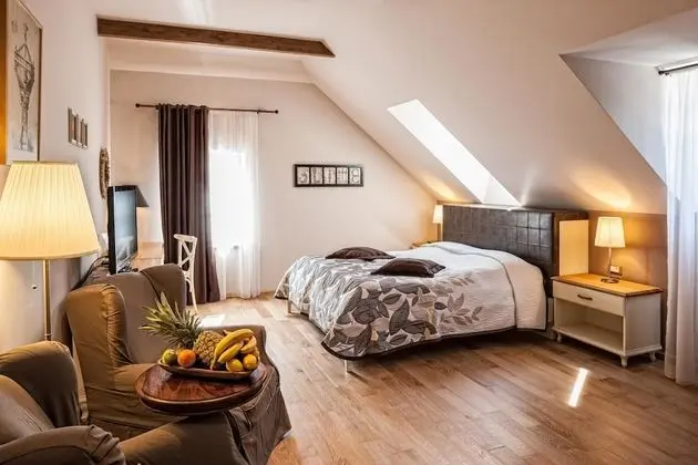Deluxe Tek Büyük Yataklı Oda, Park Manzaralı