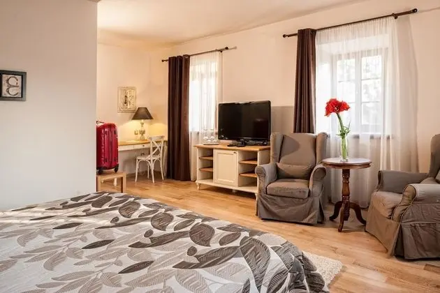 Deluxe Tek Büyük Yataklı Oda, Park Manzaralı