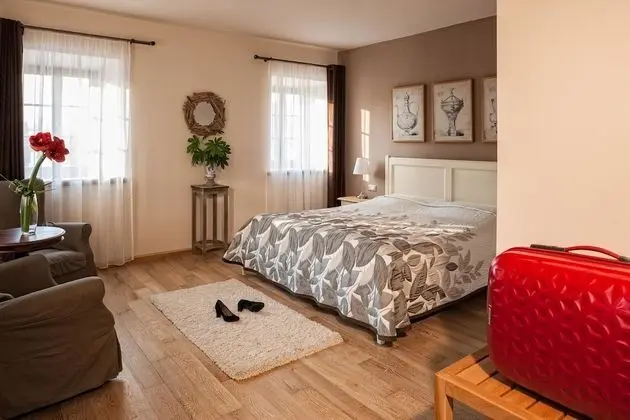 Deluxe Tek Büyük Yataklı Oda, Park Manzaralı