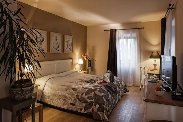 Premium Tek Büyük Yataklı Oda, Nehir Manzaralı