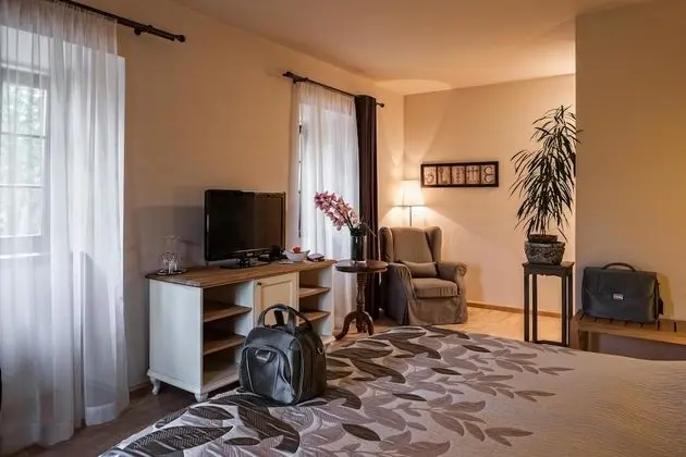 Premium Tek Büyük Yataklı Oda, Nehir Manzaralı