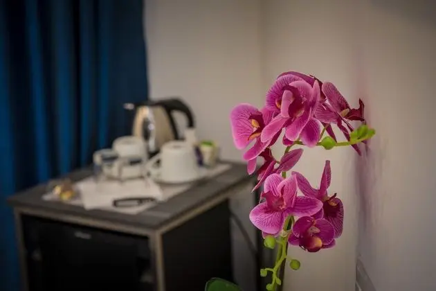 Standard Tek Büyük veya İki Ayrı Yataklı Oda, 1 En Büyük (King) Boy Yatak, Sigara İçilmez