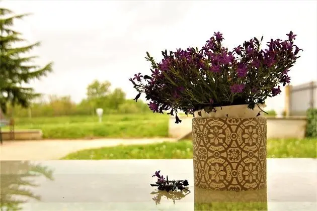 Deluxe Tek Büyük Yataklı Oda (Katerina)