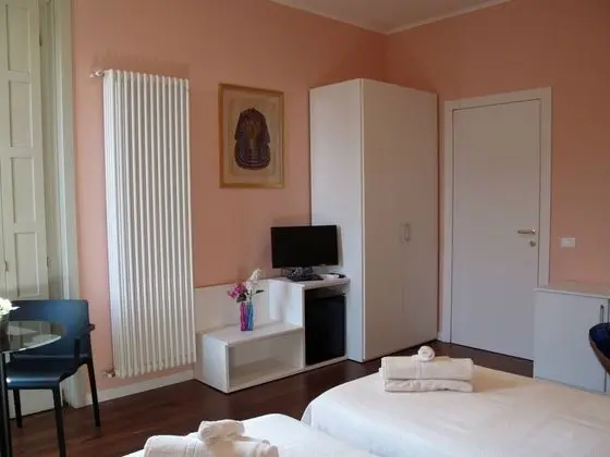 Superior Tek Büyük veya İki Ayrı Yataklı Oda, Banyolu/Duşlu