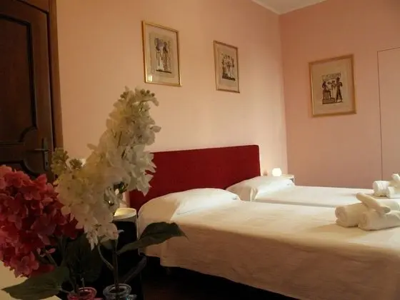 Superior Tek Büyük veya İki Ayrı Yataklı Oda, Banyolu/Duşlu