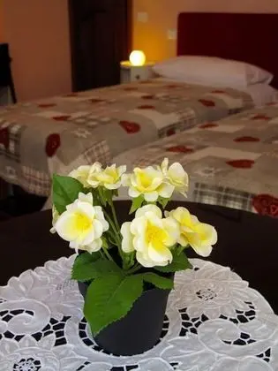 Superior Tek Büyük veya İki Ayrı Yataklı Oda, Banyolu/Duşlu