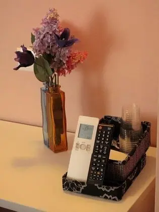 Superior Tek Büyük veya İki Ayrı Yataklı Oda, Banyolu/Duşlu