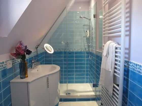 Superior Tek Büyük veya İki Ayrı Yataklı Oda, Banyolu/Duşlu