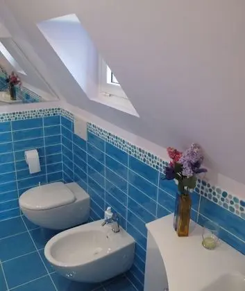 Superior Tek Büyük veya İki Ayrı Yataklı Oda, Banyolu/Duşlu