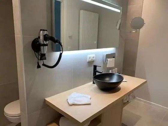 Comfort Tek Büyük Yataklı Oda, Bahçe Manzaralı