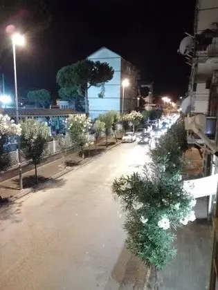 Tek Büyük Yataklı Oda, 1 Yatak Odası, Ortak Banyo, Şehir Manzaralı (Arechi)