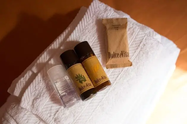 Tek Büyük Yataklı Oda, 1 Yatak Odası, Ortak Banyo, Şehir Manzaralı (Arechi)