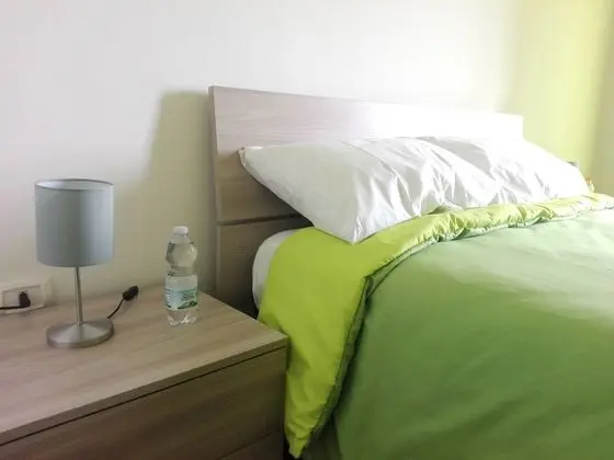 Tek Büyük Yataklı Oda, 1 Yatak Odası, Ortak Banyo, Şehir Manzaralı (Minerva)