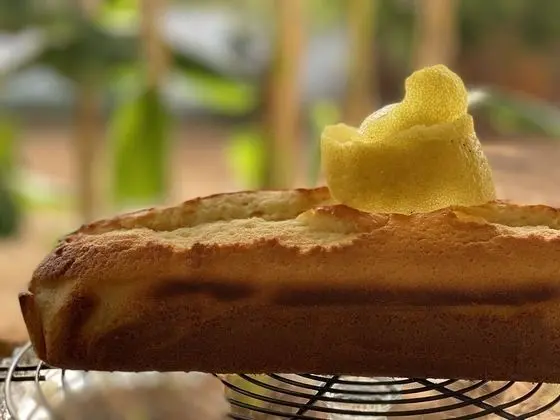 Exclusive Stüdyo, 1 Yatak Odası, Sigara İçilmez, Bahçe Manzaralı