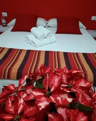 Tek Büyük Yataklı Oda, Özel Banyo (Rossa)