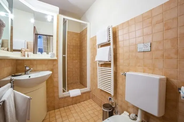 Superior Tek Büyük Yataklı Oda