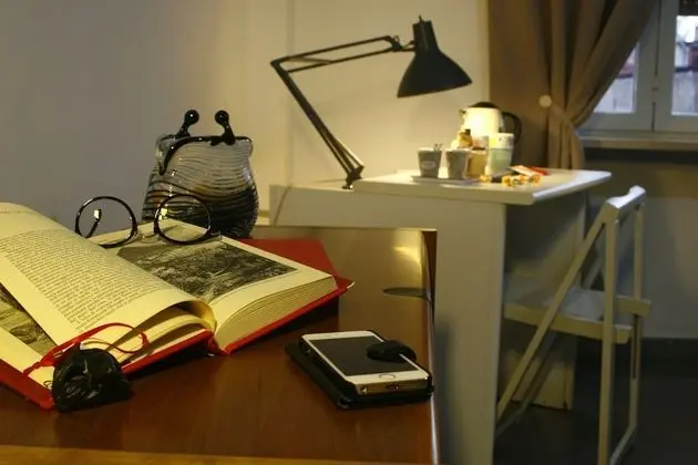 Basic Tek Büyük veya İki Ayrı Yataklı Oda, Özel Banyo