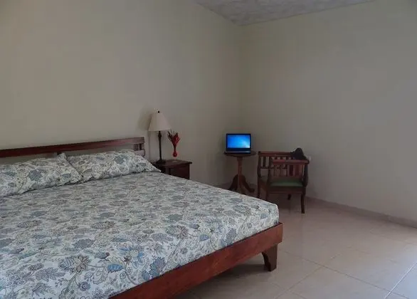 Tek Büyük Yataklı Oda, Özel Banyo, Bahçe Manzaralı