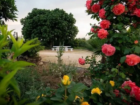 İki Ayrı Yataklı Oda, Bahçe Manzaralı, Zemin Kat