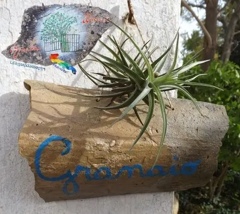 Tek Büyük Yataklı Oda, Bahçe Manzaralı (Granaio)