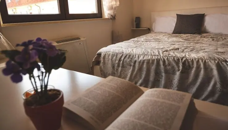 Basic Tek Büyük veya İki Ayrı Yataklı Oda, 1 Yatak Odası, Şehir Manzaralı