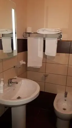 Basic Tek Büyük veya İki Ayrı Yataklı Oda, 1 Yatak Odası, Şehir Manzaralı