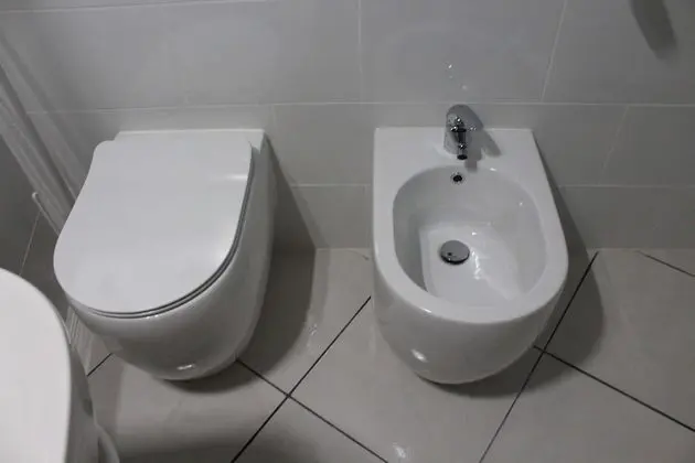 Classic Oda, 1 Yatak Odası, Sigara İçilmez, Bahçe Manzaralı (Vesta)