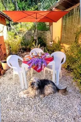 Exclusive Üç Kişilik Oda