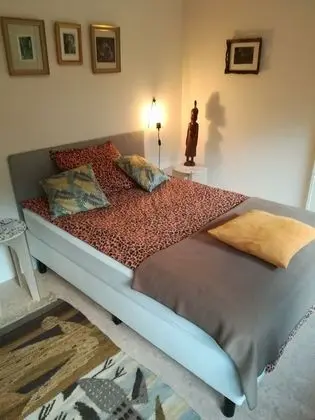 Tek Büyük Yataklı Oda (Africa)