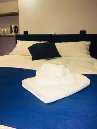 Tek Büyük veya İki Ayrı Yataklı Oda, Banyolu/Duşlu (Small Room) (Light Blue)